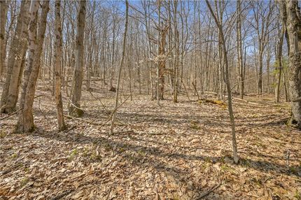 Land for sale in Otsego County, New York
