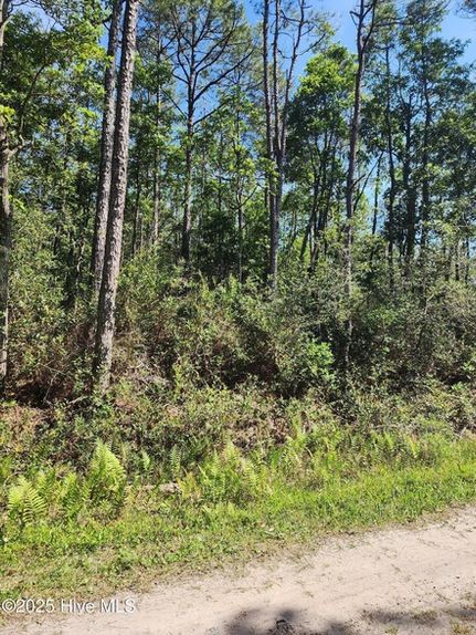 Land for sale in Brunswick County, North Carolina