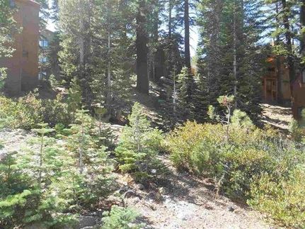 Land for sale in Mono County, California
