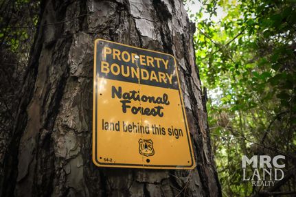 Homesite for sale in Houston County, Texas