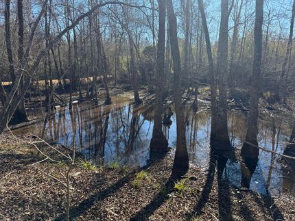 Land for sale in Laurens County, Georgia