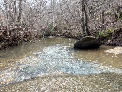 Timberland Property for sale in Chilton County, Alabama