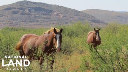 Horse Property for sale in Cochise County, Arizona