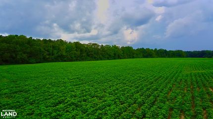 Farm and Ranch for sale in Houston County, Alabama