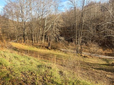 Land for sale in Taylor County, West Virginia