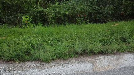 Homesite for sale in Campbell County, Tennessee