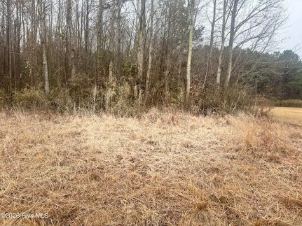 Land for sale in Perquimans County, North Carolina