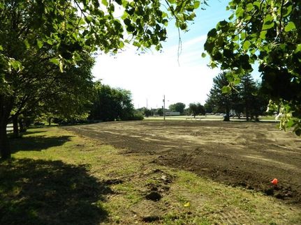 Undeveloped Land for sale in Yellow Medicine County, Minnesota