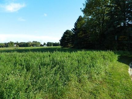 Homesite for sale in Chippewa County, Minnesota