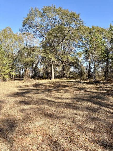 Land for sale in Butler County, Alabama