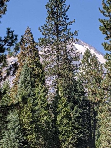 Land for sale in Siskiyou County, California