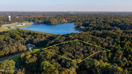Undeveloped Land for sale in Madison County, Mississippi