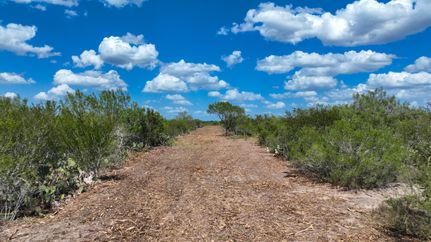 Land for sale in La Salle County, Texas