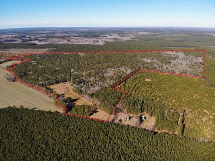 Timberland Property for sale in Isle of Wight County, Virginia