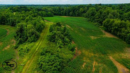 Timberland Property for sale in Obion County, Tennessee