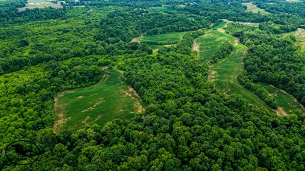 Timberland Property for sale in Obion County, Tennessee