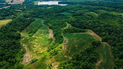 Timberland Property for sale in Obion County, Tennessee