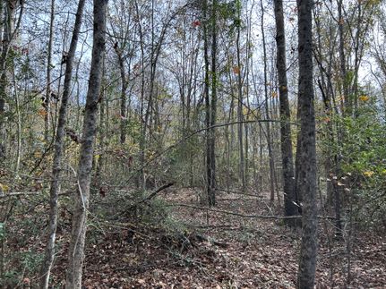 Land for sale in Harrison County, Texas