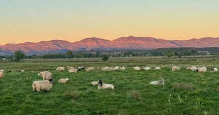 Land for sale in Grant County, New Mexico