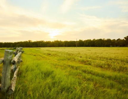 Farm and Ranch for sale in Milam County, Texas