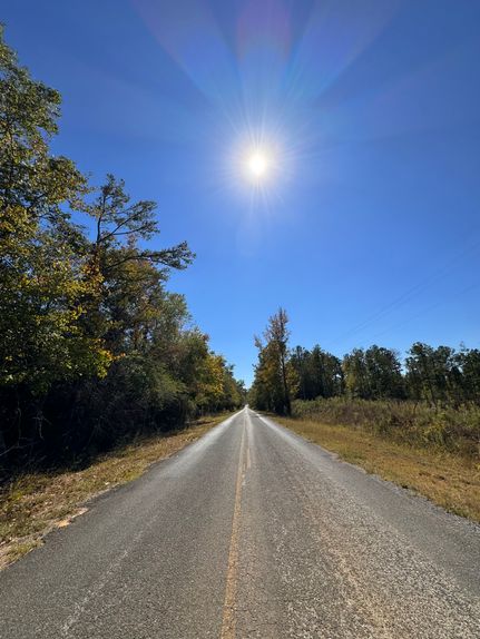 Farm and Ranch for sale in Sumter County, Alabama