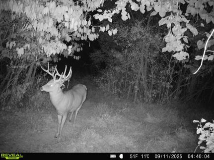 Land for sale in Coshocton County, Ohio