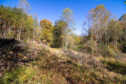 Hunting Property for sale in Henry County, Virginia