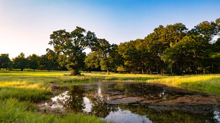Farm and Ranch for sale in Milam County, Texas
