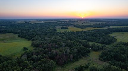 Timberland Property for sale in Milam County, Texas