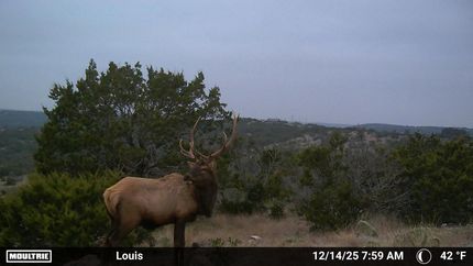 Farm and Ranch for sale in Edwards County, Texas