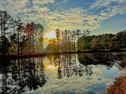 Land for sale in Hardin County, Texas