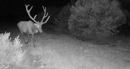 Hunting Property for sale in Edwards County, Texas