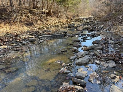 Land for sale in Madison County, Arkansas