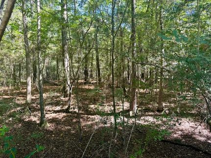 Recreational Property for sale in Washington Parish, Louisiana