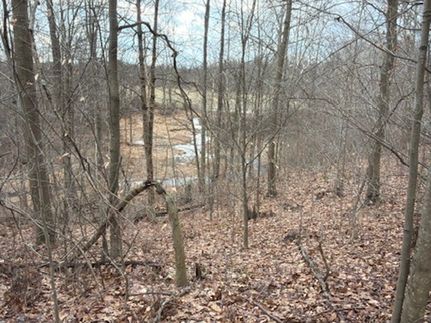 Timberland Property for sale in Ashtabula County, Ohio