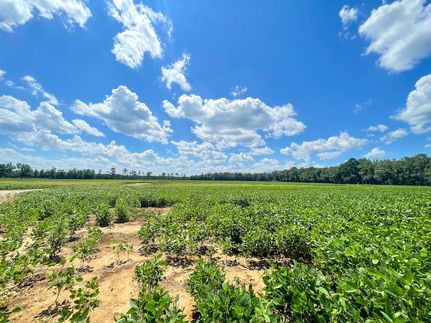 Farm and Ranch for sale in Marlboro County, South Carolina