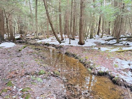 Timberland Property for sale in Warren County, Pennsylvania