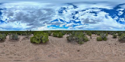 Undeveloped Land in Apache County, Arizona