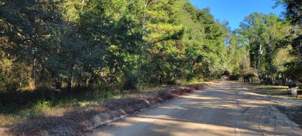 Recreational Property for sale in Putnam County, Florida