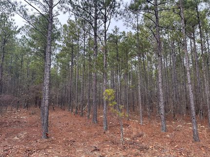 Land for sale in Marion County, Georgia