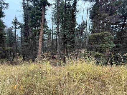 Undeveloped Land for sale in Colfax County, New Mexico