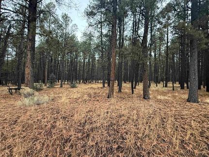 Undeveloped Land for sale in Colfax County, New Mexico
