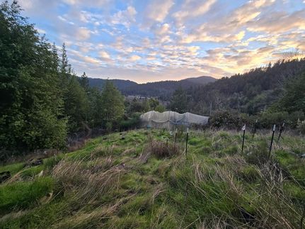 Homesite for sale in Humboldt County, California
