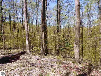 Land for sale in Antrim County, Michigan