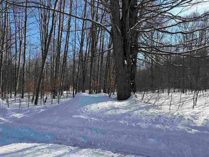 Undeveloped Land for sale in Charlevoix County, Michigan