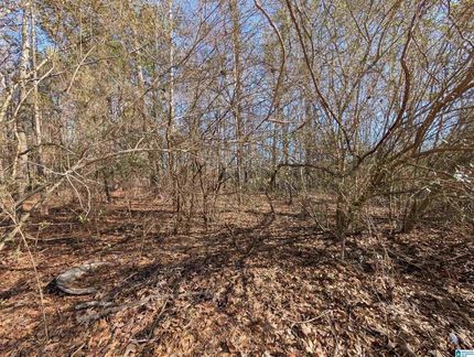Homesite for sale in Talladega County, Alabama