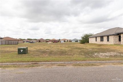 Undeveloped Land for sale in Hidalgo County, Texas