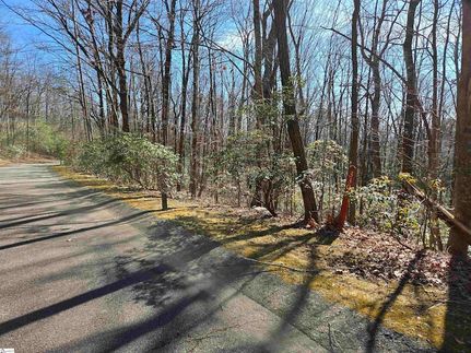 Undeveloped Land for sale in Greenville County, South Carolina