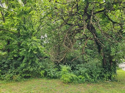 Undeveloped Land for sale in Anderson County, Kentucky