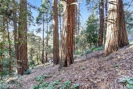 Land for sale in San Bernardino County, California
